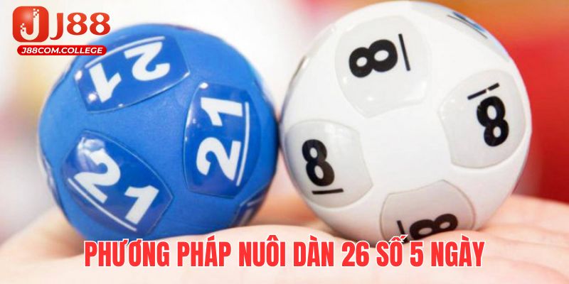 Nuôi đề 5 ngày chỉ phù hợp cho những người chơi đã lâu