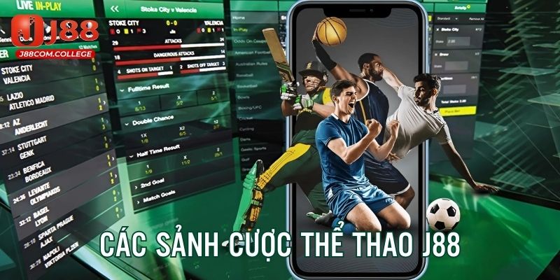 Điểm danh 3 sảnh cược sports chất lượng dẫn đầu thị trường